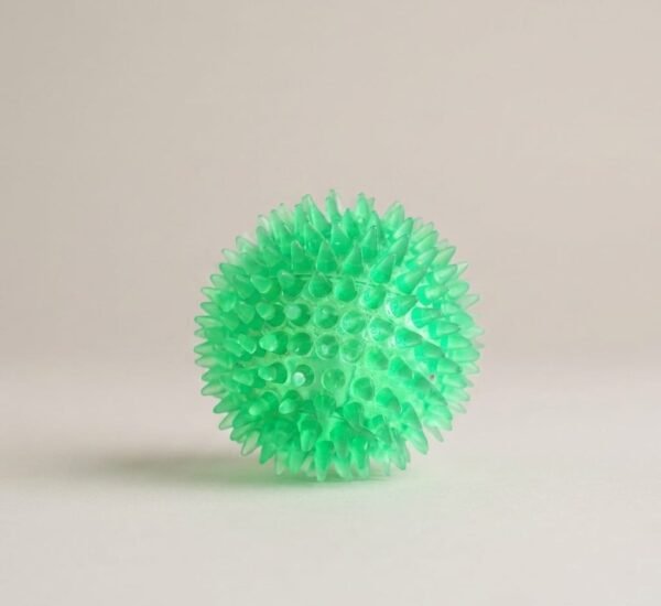 Interactive Pig Face Dog Ball (Copy) (Copy)