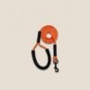 Dog Walking Rope Reflective Tracking Leash (Copy)