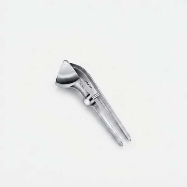 Stainless Steel Manual Garlic Press