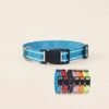 Nylon Dog Collar and Leash Set