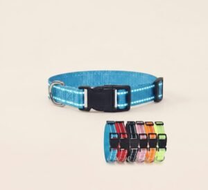 Nylon Dog Collar and Leash Set