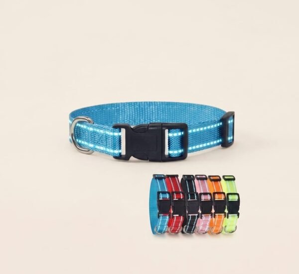 Nylon Dog Collar and Leash Set