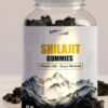 Shilajit Gummies | Energy Gummies | Pure Himalayan Shilajit for Men & Women (Copy)