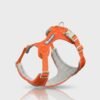 Whippet Anti-Slip Dog Harness